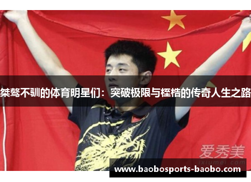 桀骜不驯的体育明星们：突破极限与桎梏的传奇人生之路
